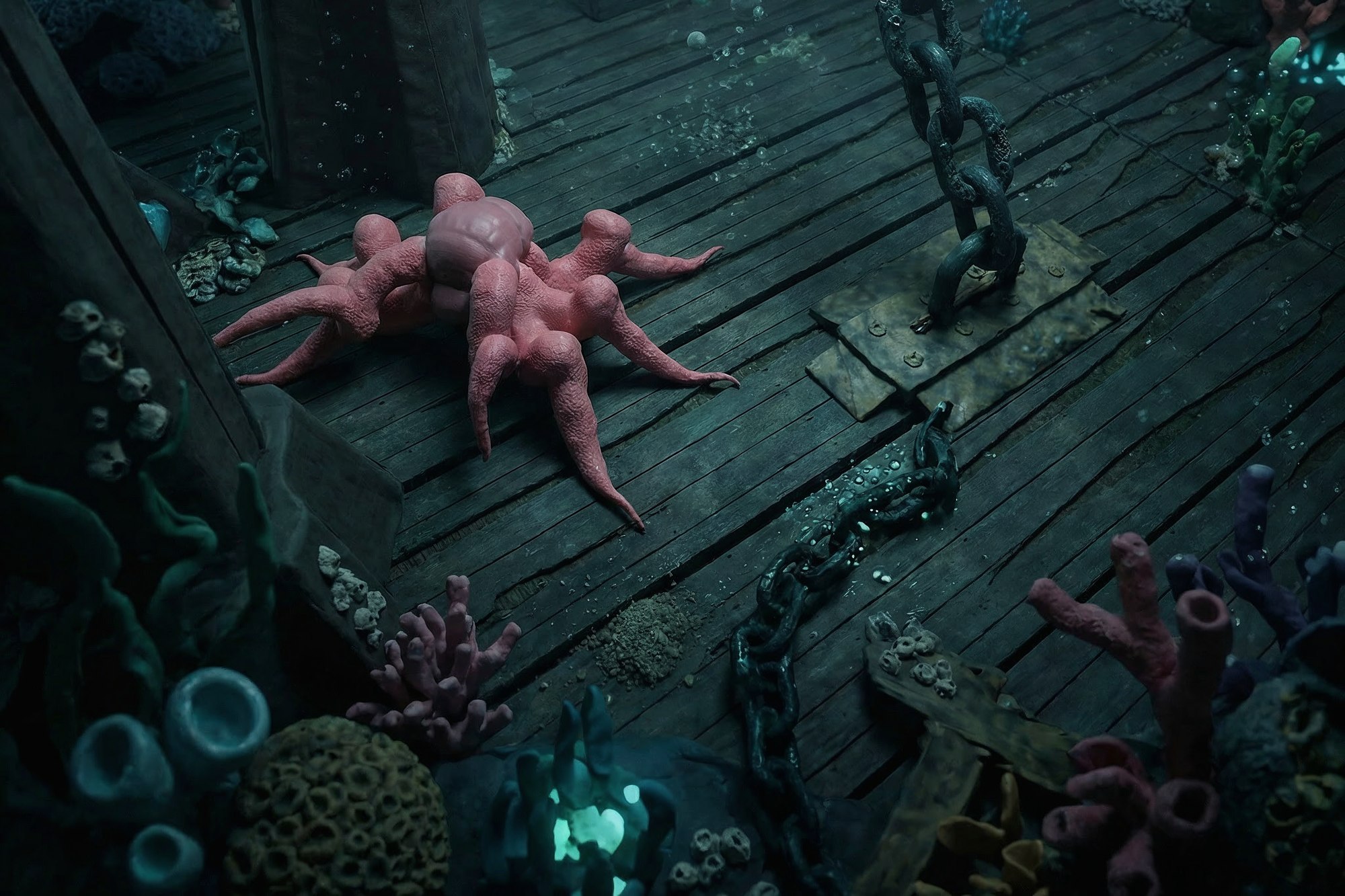 The Octopus